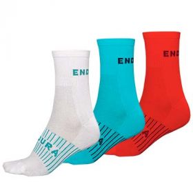 Endura Race